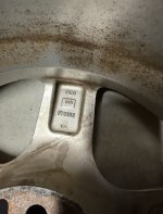 IMG_6985.jpeg