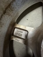 IMG_6983.jpeg