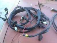 harness.jpg