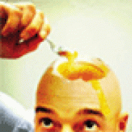 yolk