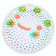 Volvox_240