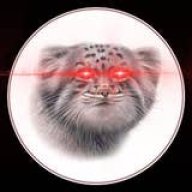 ScatsManul