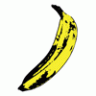 bionicbanana