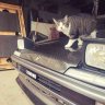 AE92